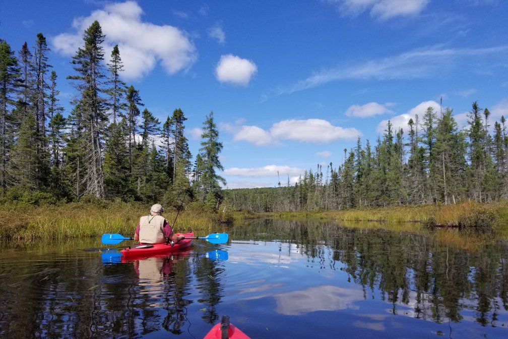 kayakers on Lake Francis