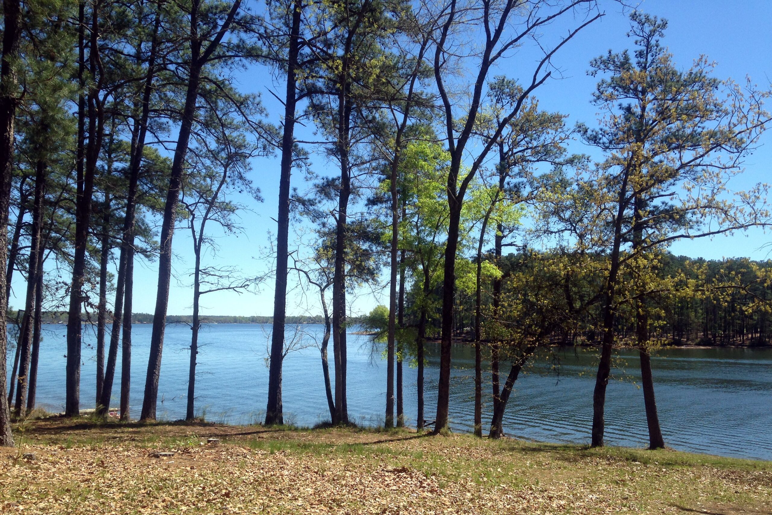 Lake Greenwood