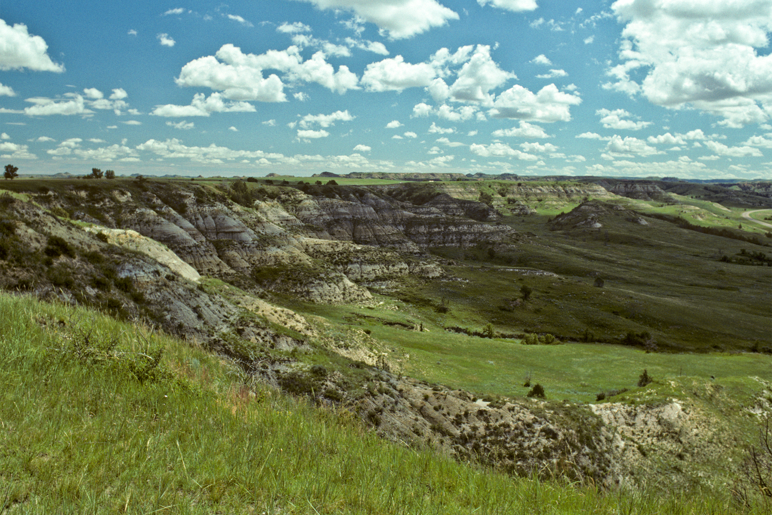 Theodore Roosevelt National Park
