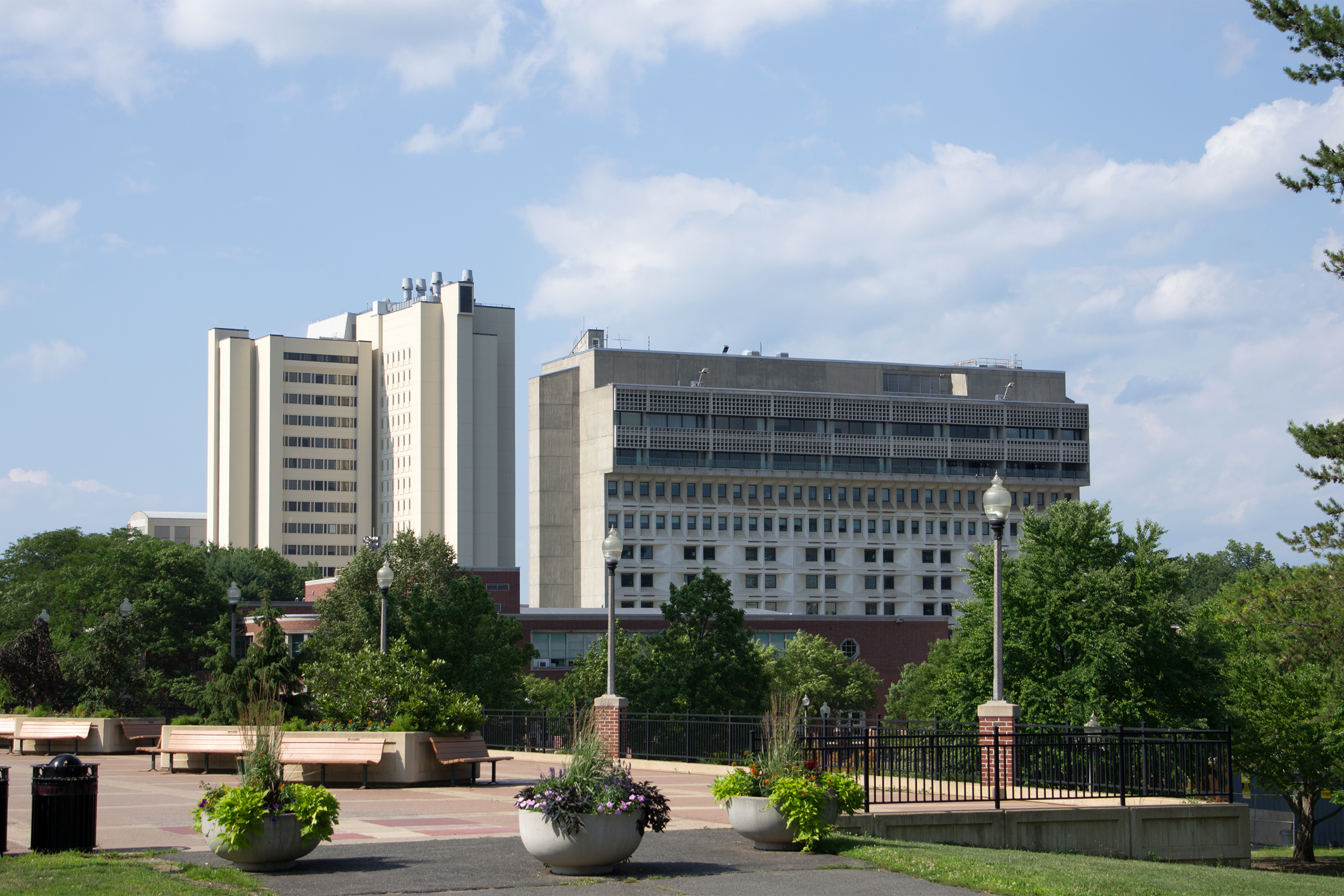 University of Massachusetts