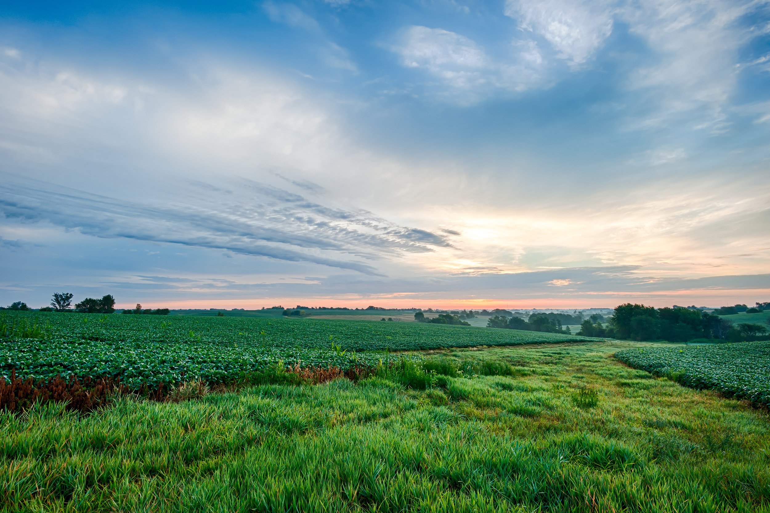 Iowa