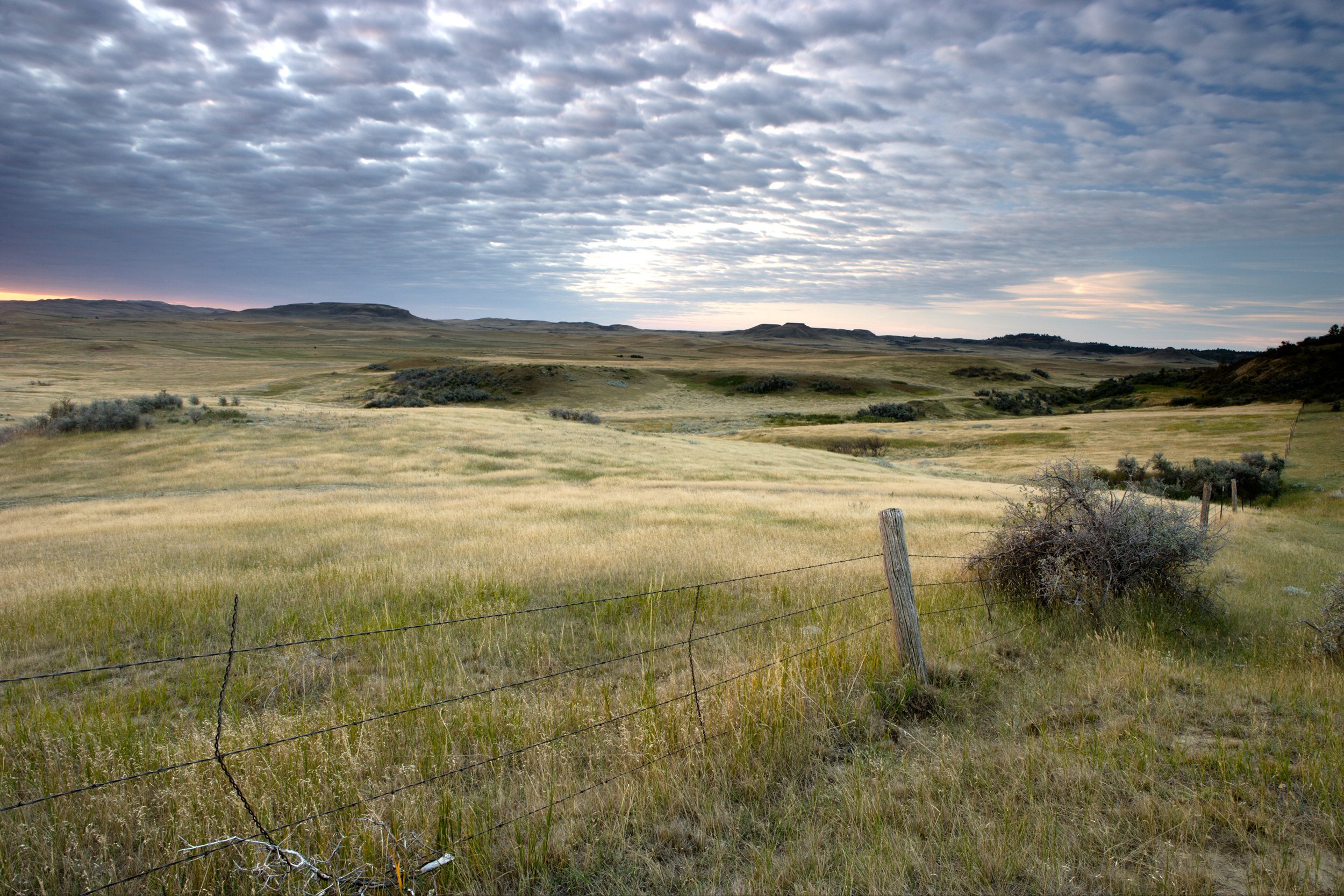 North Dakota
