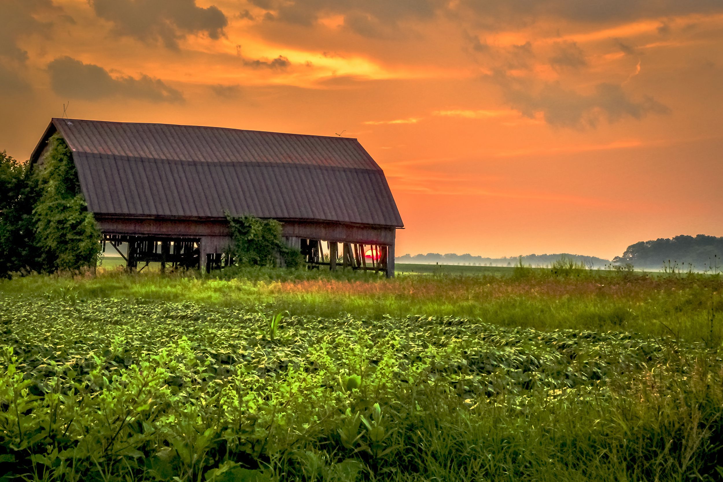 countryside in Kansas