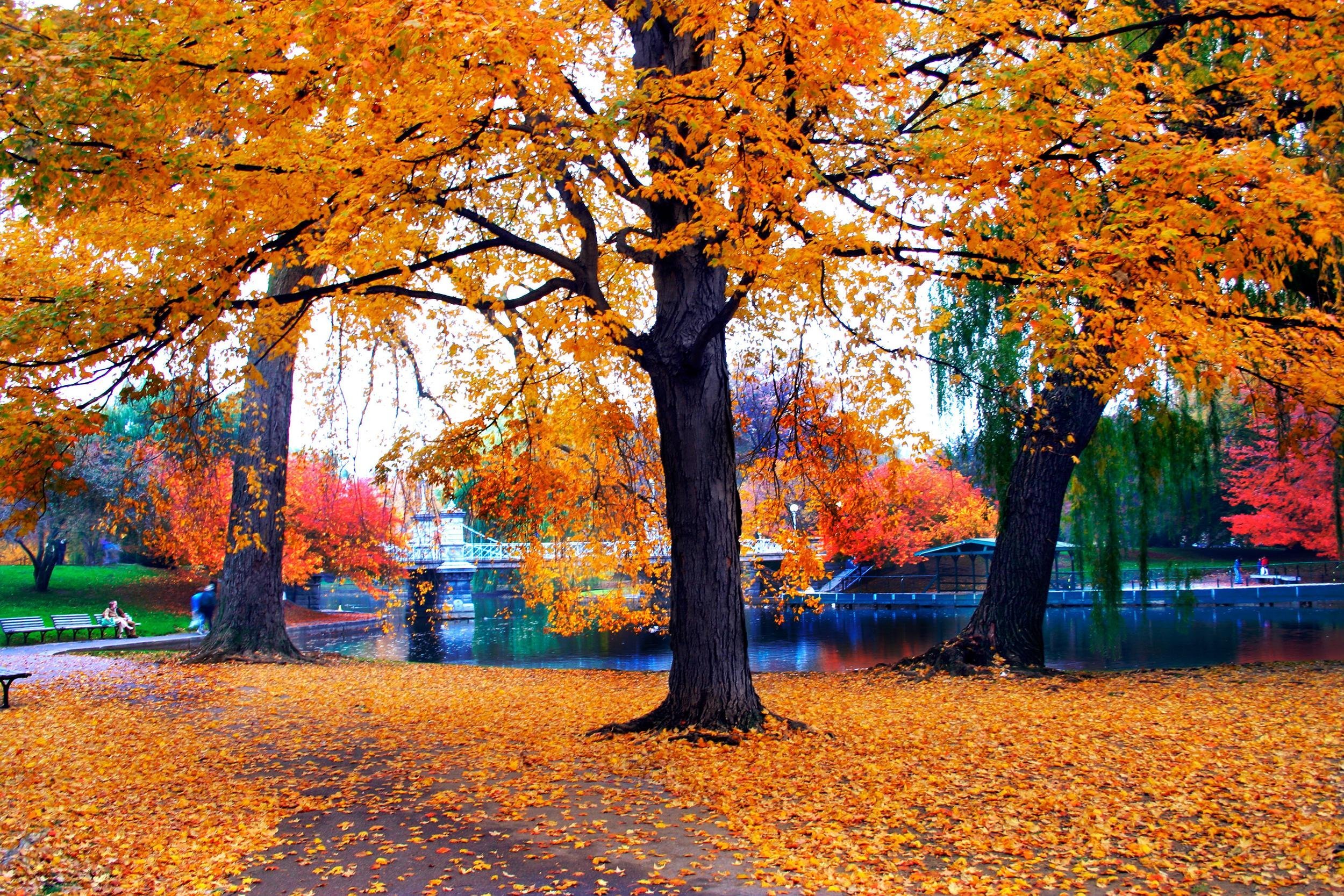 Boston
