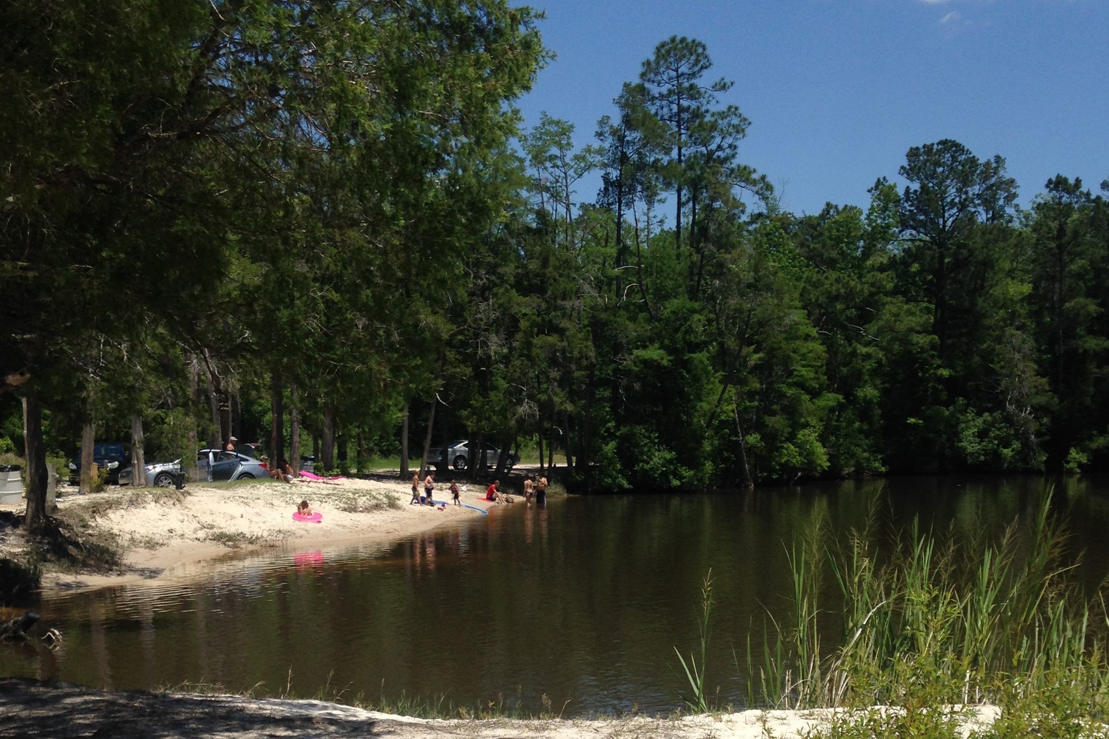 Bluff Creek, Mississippi