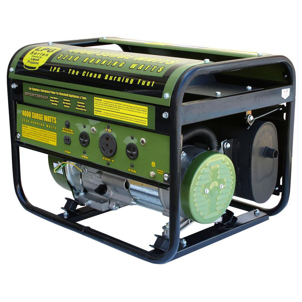 Buffalo Tools Sportsman GEN4000LP
