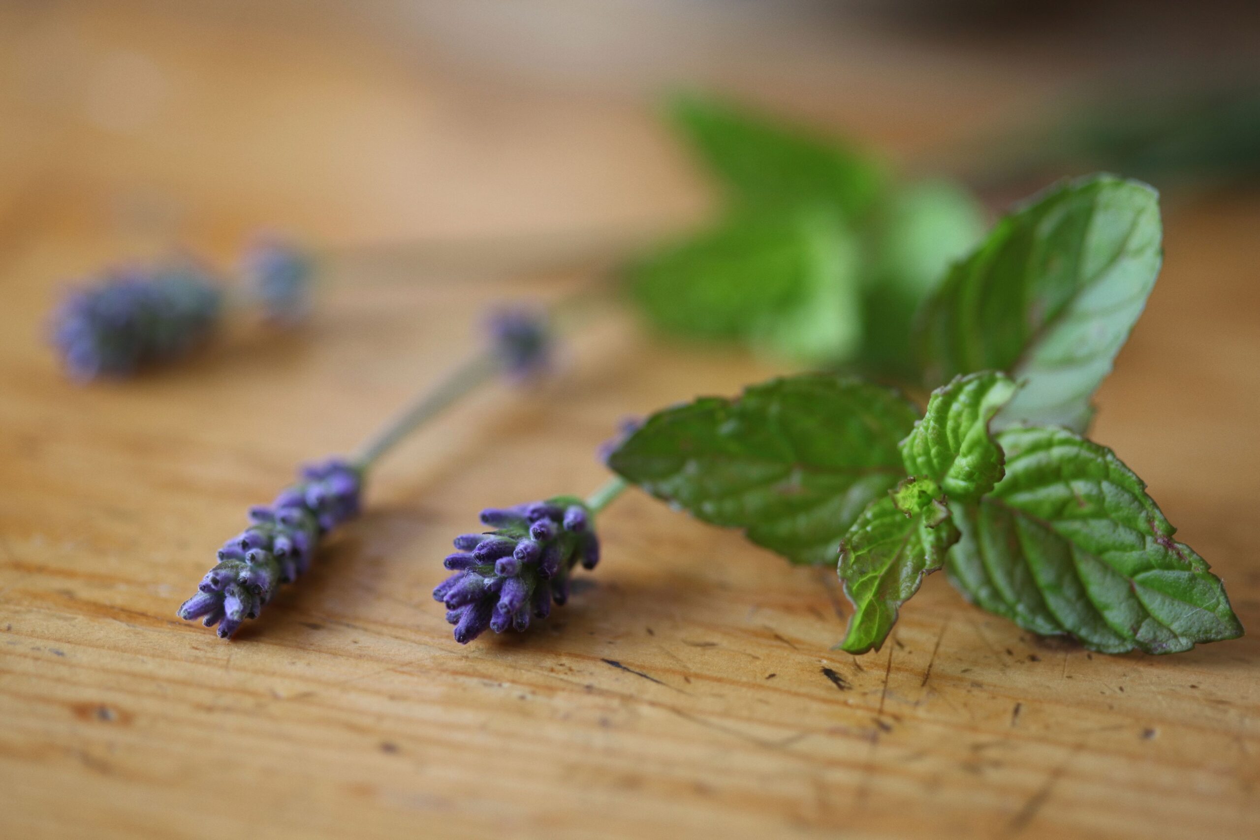 Mint and Lavender