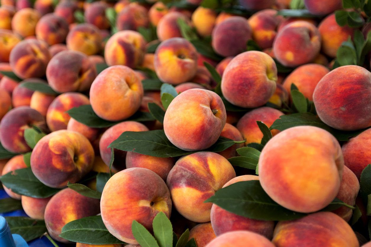 peaches