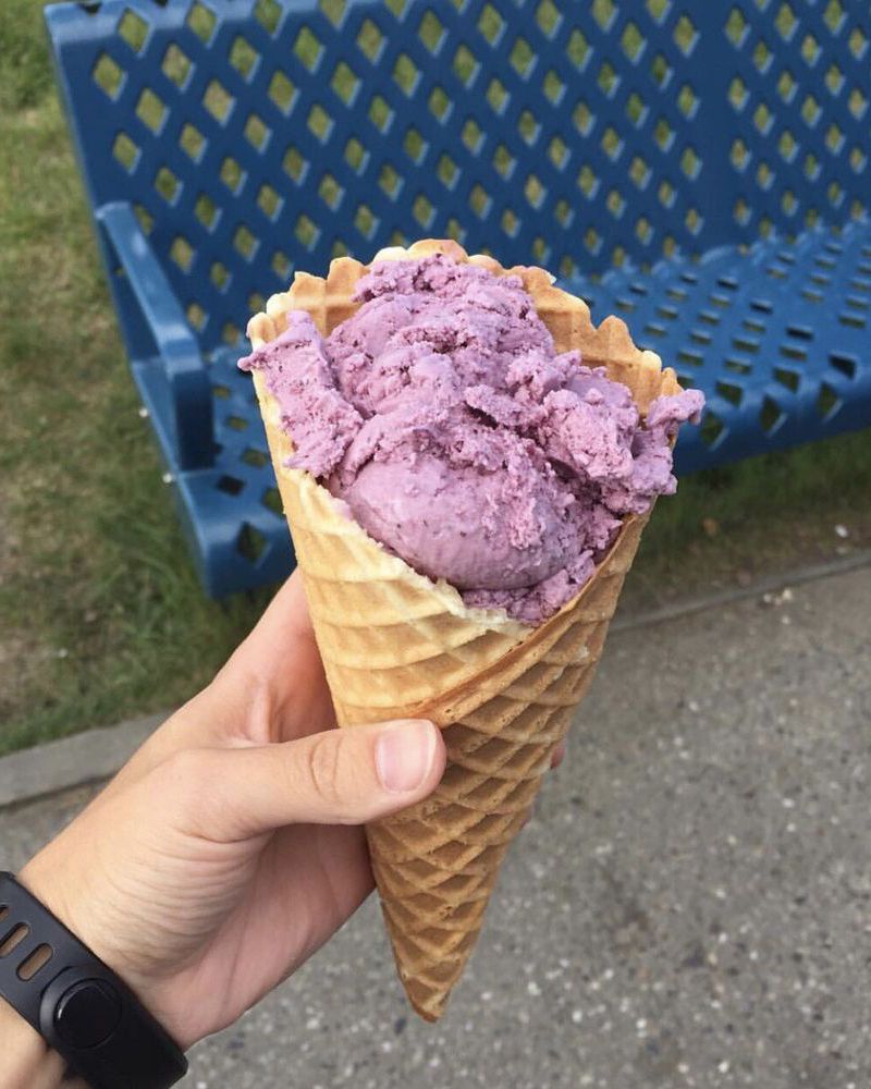 Hot Licks Homemade Ice Cream Alaska blueberry