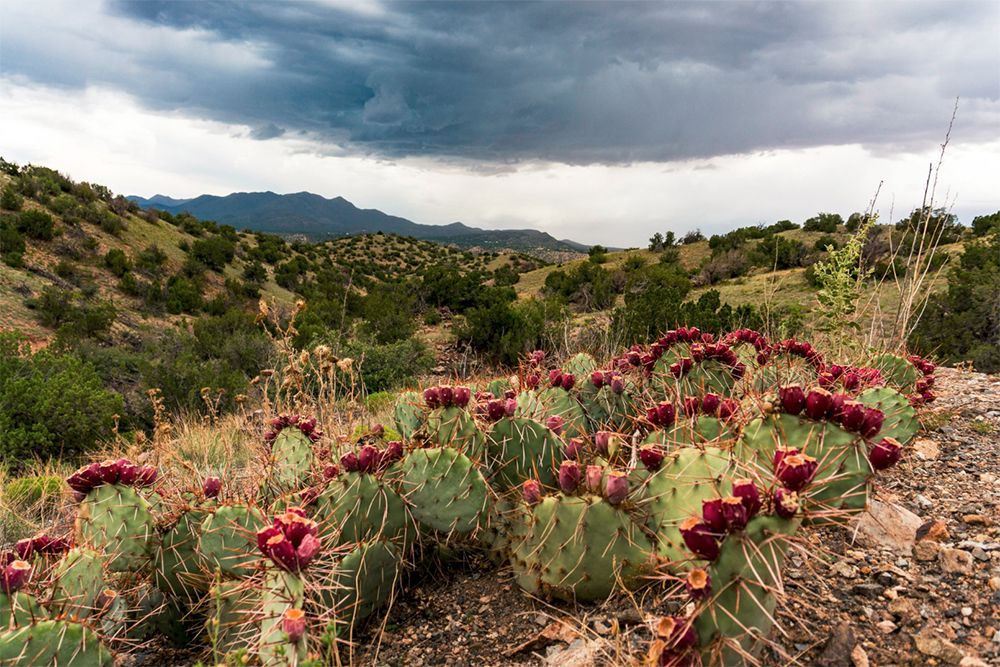 Cerrillos Hills State Park, New Mexico