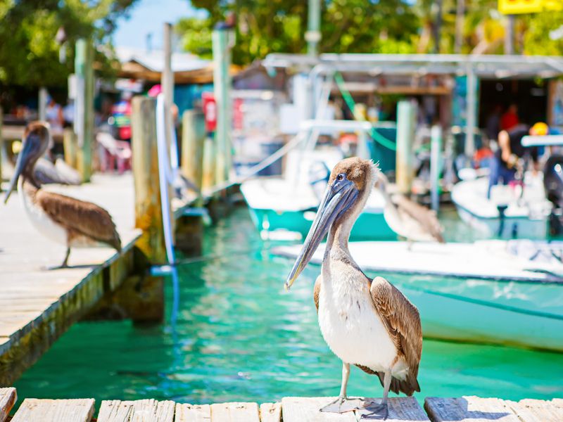 Florida Keys