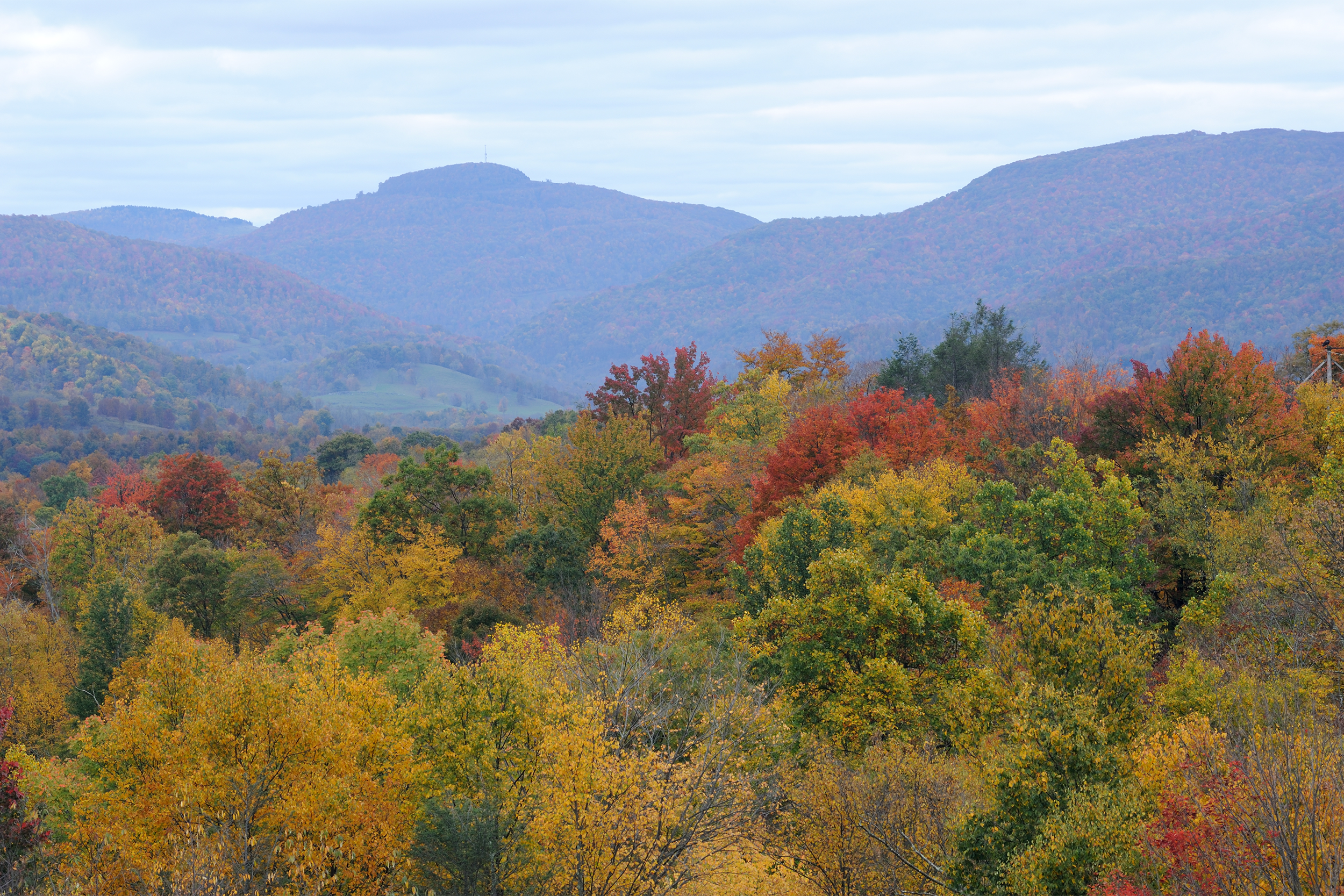 Canaan Valley West Virginia