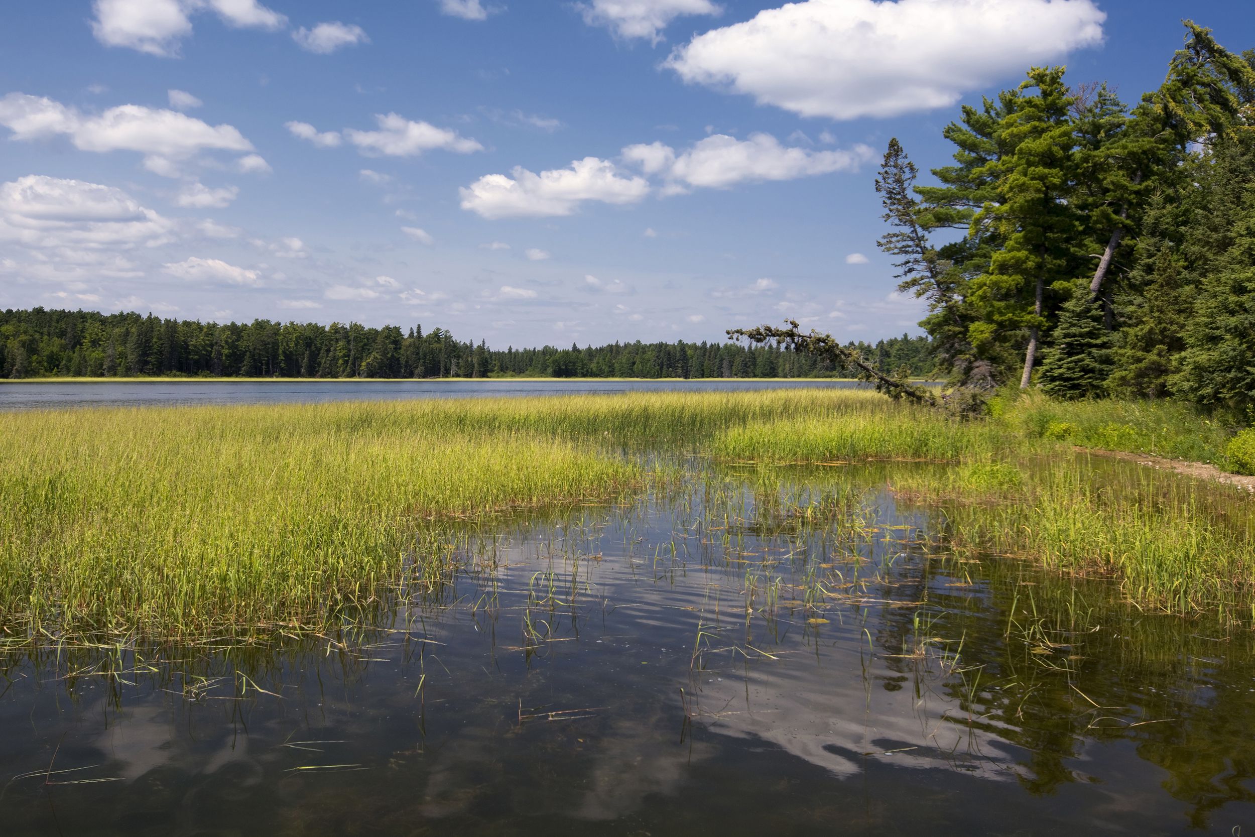 Itasca State Park, Minnesota