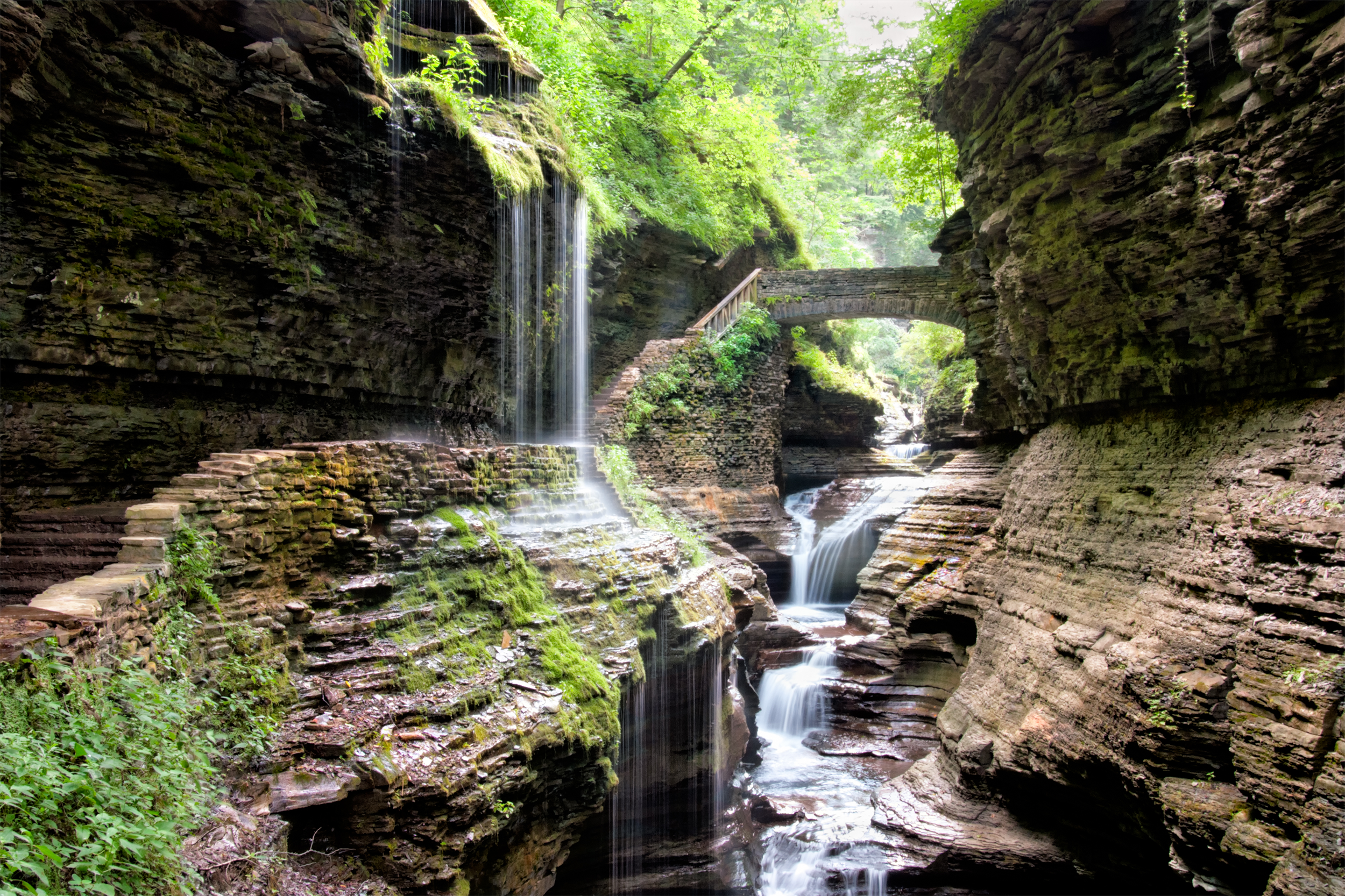 Watkins Glen