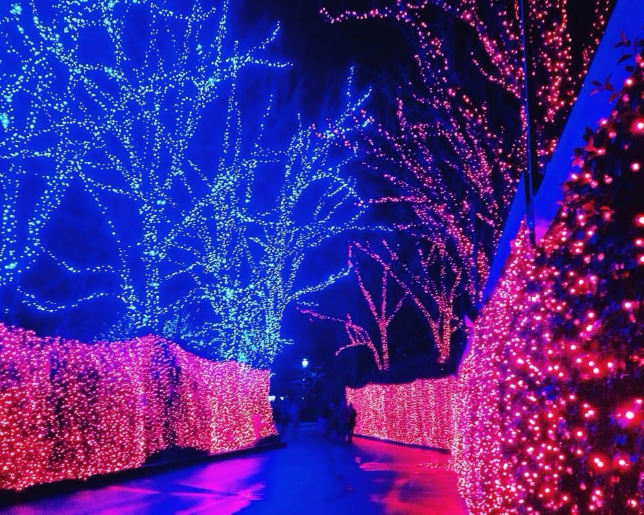 ZooLights, Oregon Zoo, Portland, Oregon