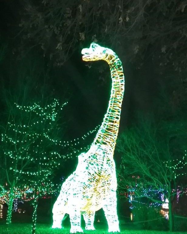 ABQ BioPark Botanic Garden