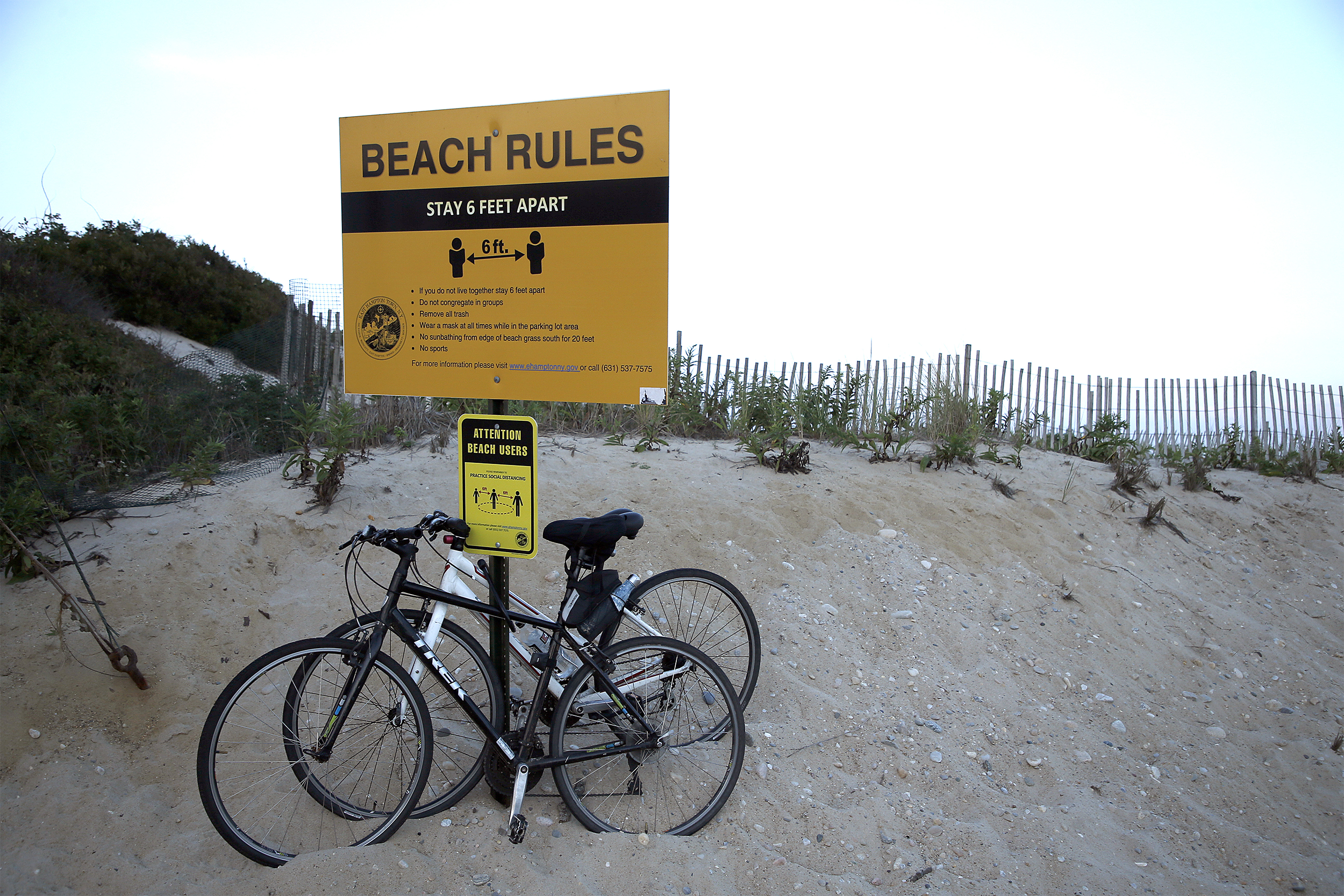 beach reopening