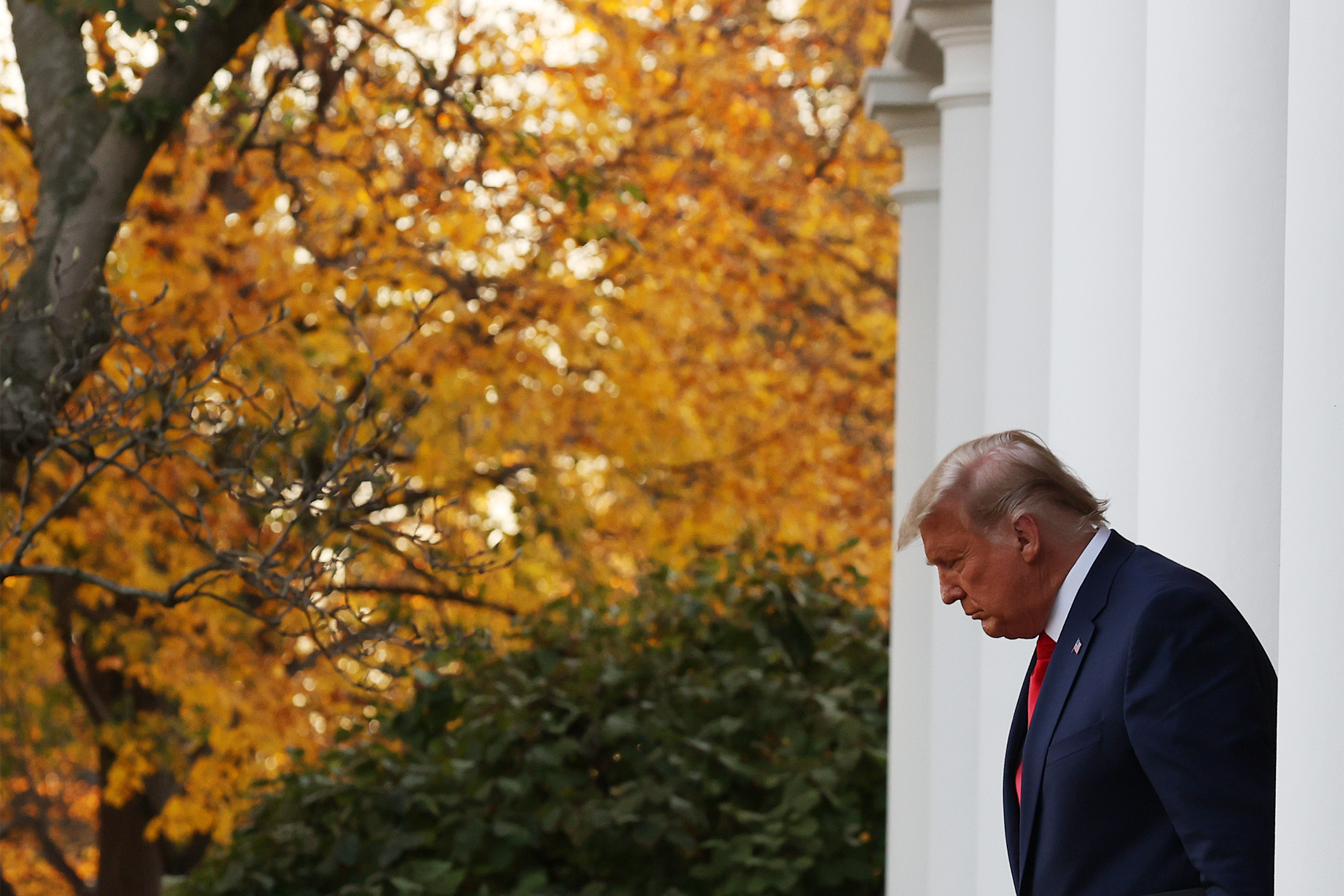 Trump white house