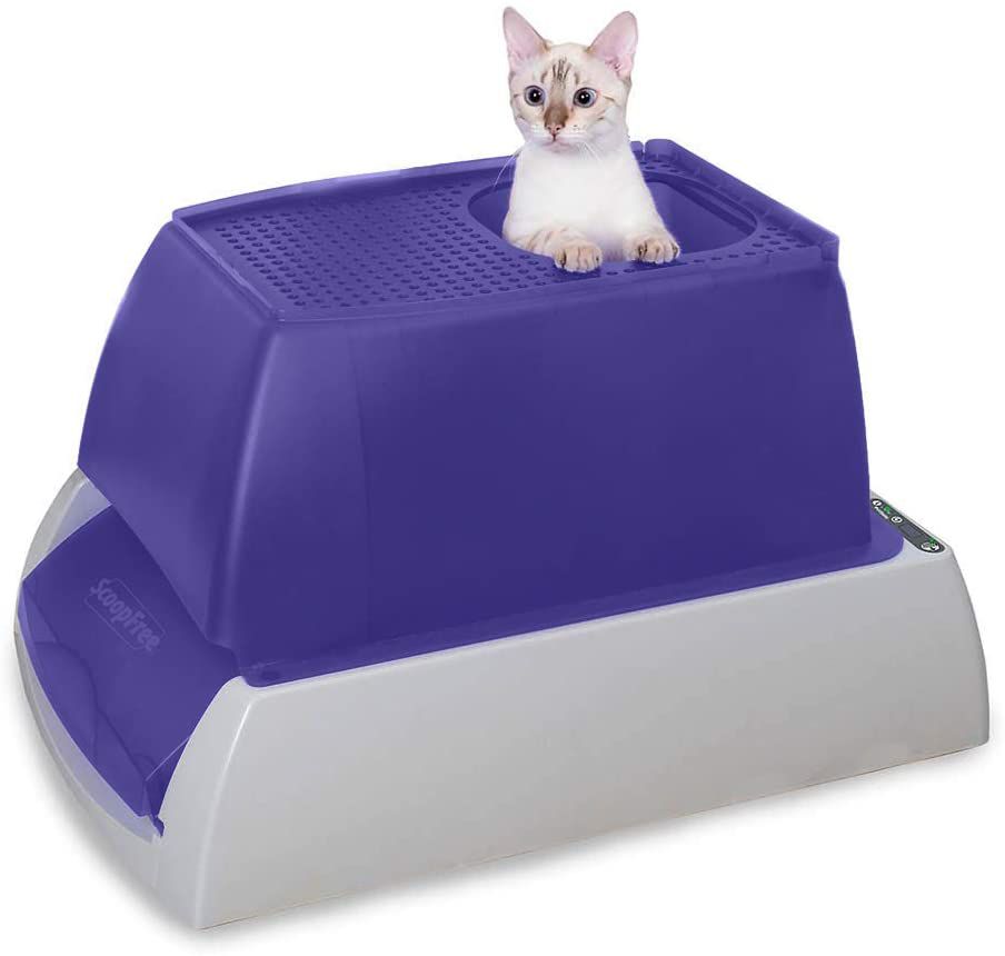 PetSafe ScoopFree Automatic Litter Box