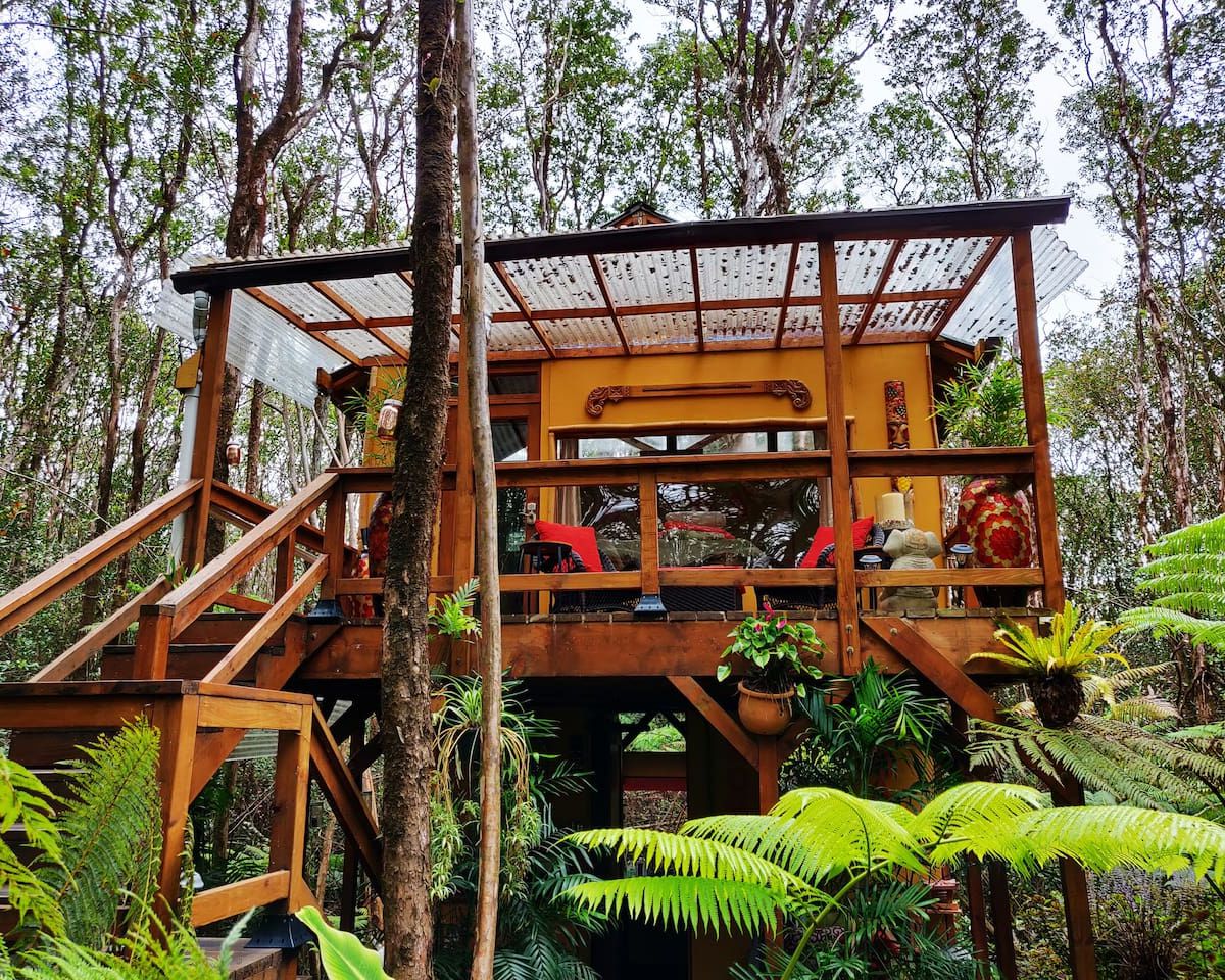 Rainforest Treehouse Retreat