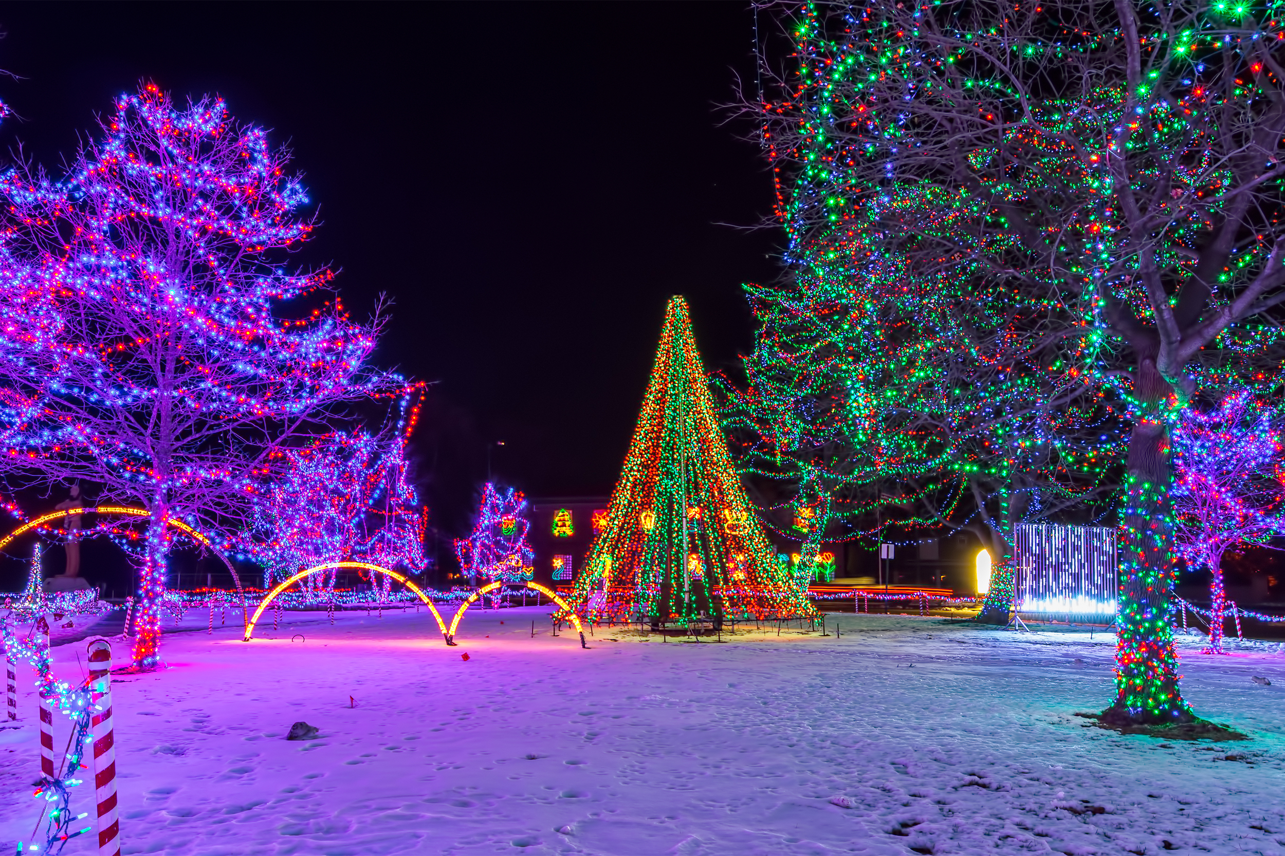 Christmas Lights in a snowy park