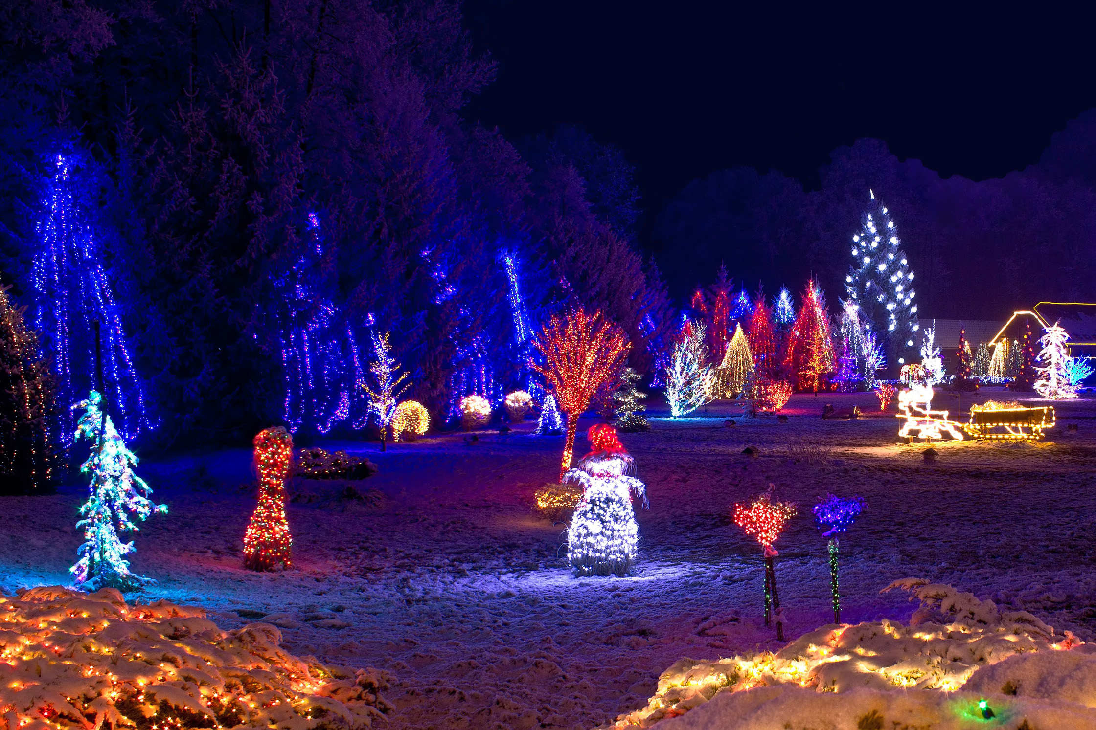 christmas lights park