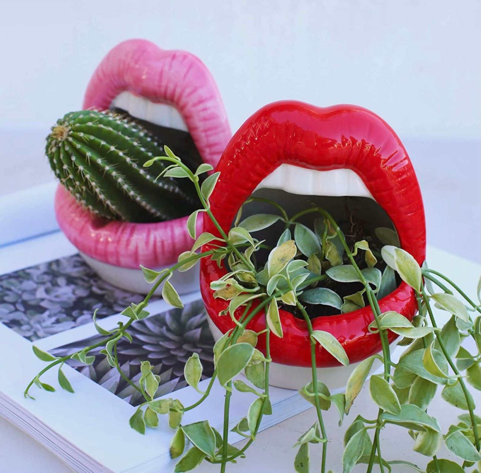 Ceramic Lips Planter