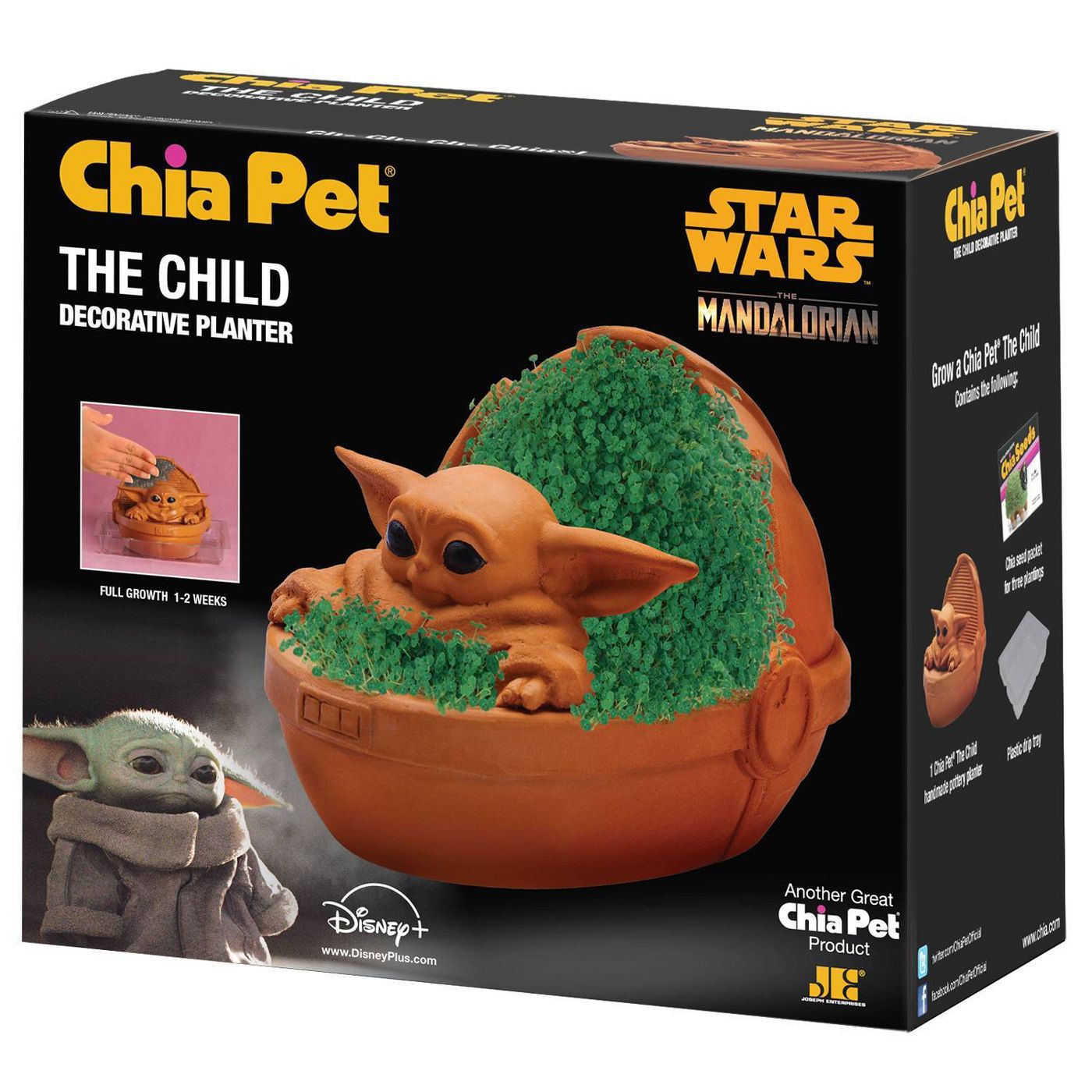 The Child Chia Pet