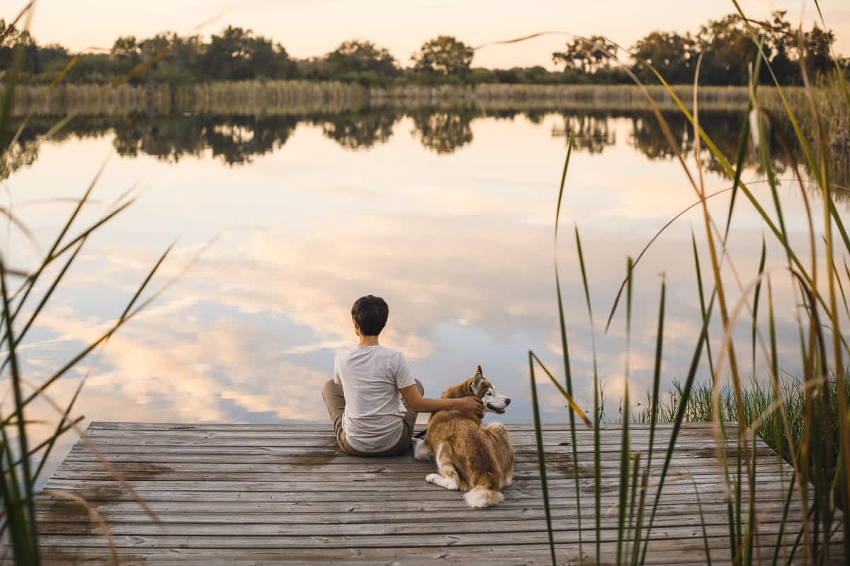Hipcamp: By the Pond