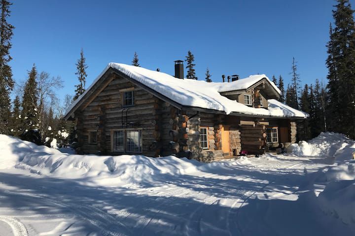 Pine Cabin Not Too Far from the Arctic