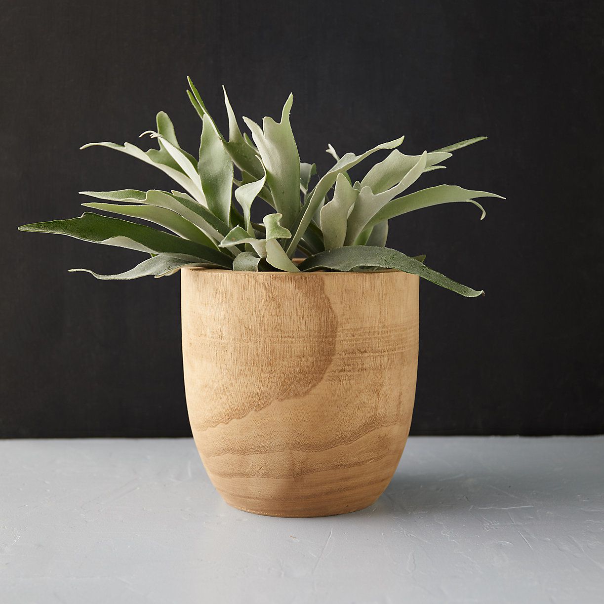Pawlonia Wood Egg Pot