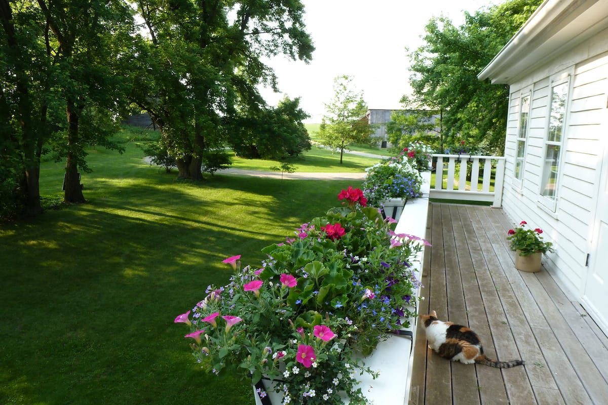 Thorstein Veblen Farm: Floral Fun