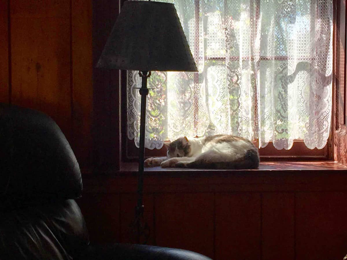 Historic Civil War Farmhouse: Pets and Ghosts Welcome