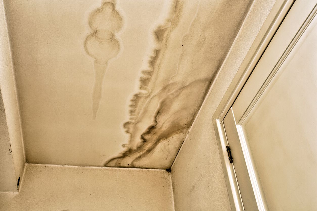 Roof leakage, ceiling water damaged ceiling roof and stain on ceiling close-up needs renovation