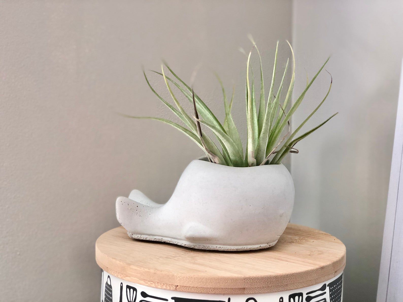 Concrete Whale Planter