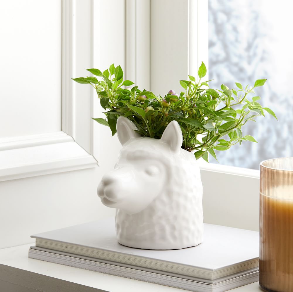 Llama Head Planter