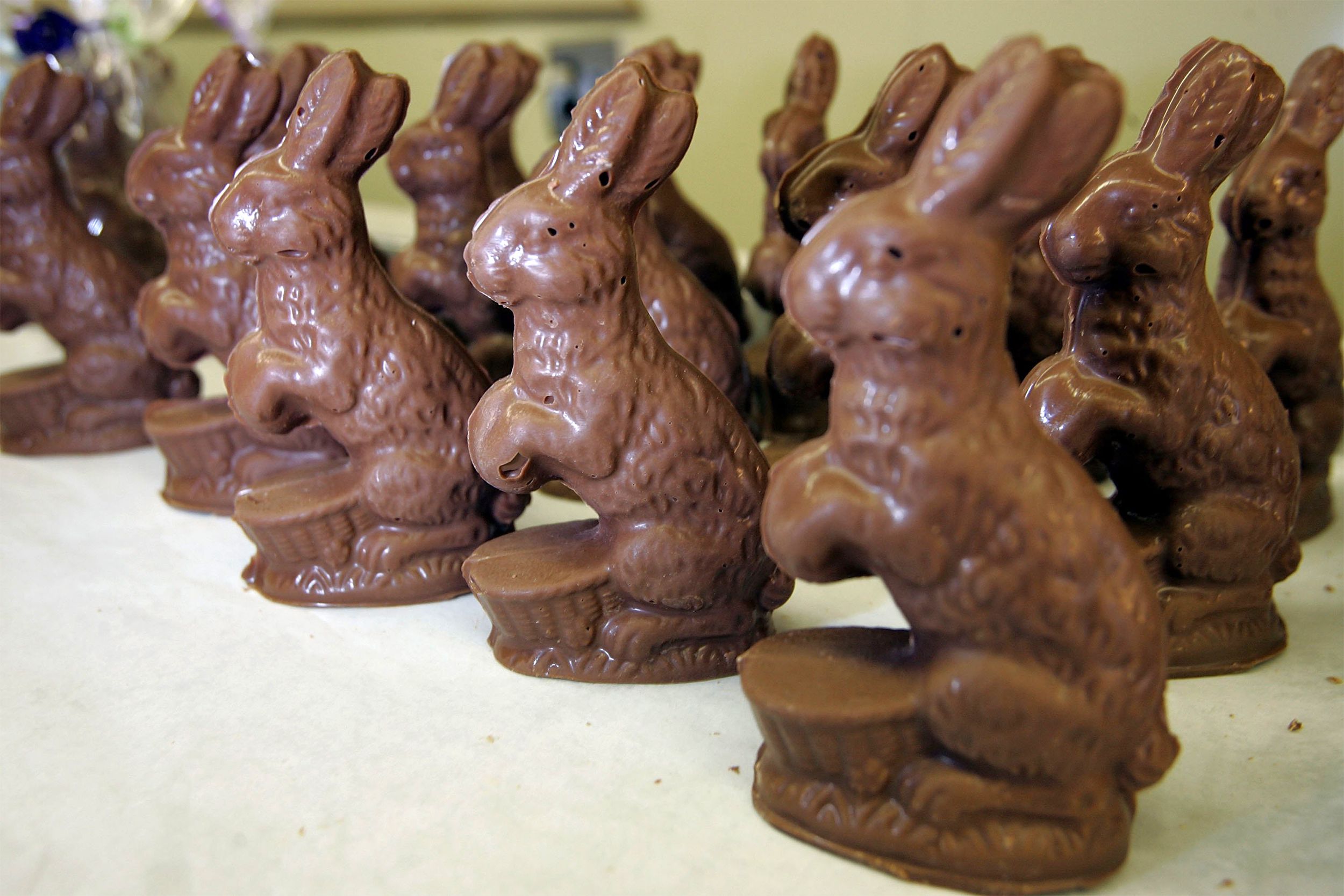 Chocolate Bunnies