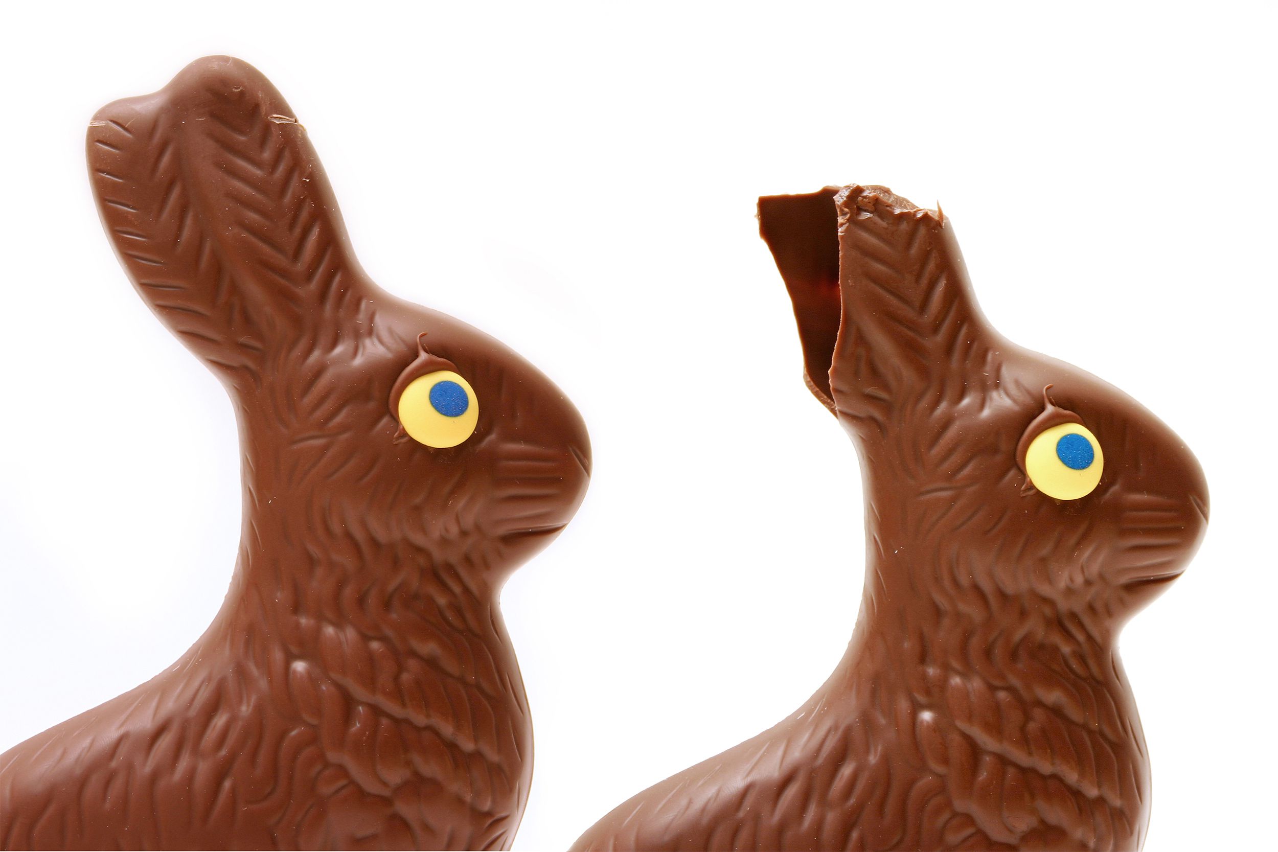 Easter Bunny Ears