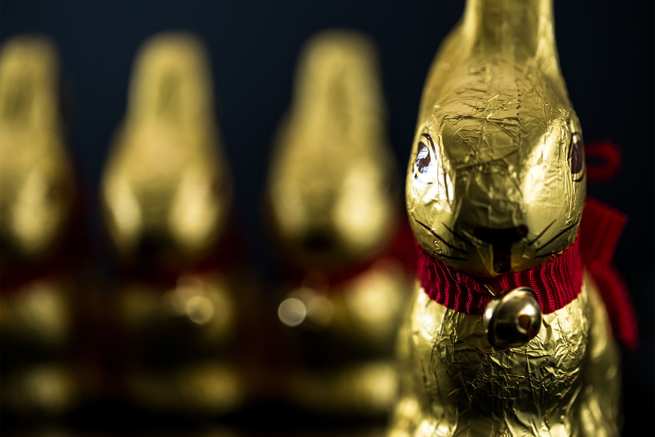 Gold Chocolate Bunny