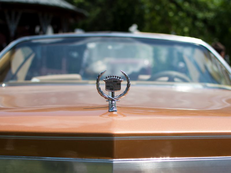 Hood Ornaments
