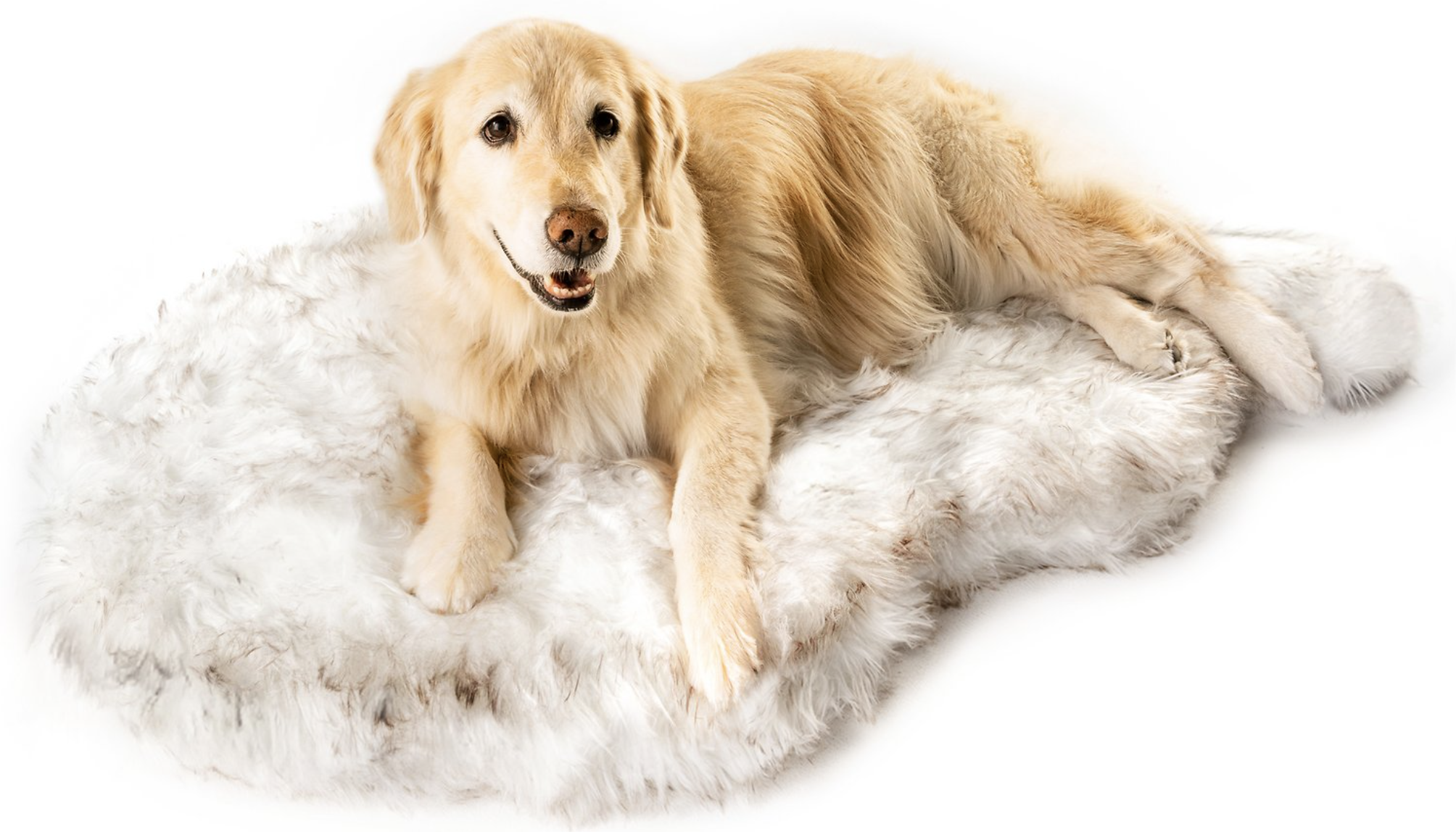 PawBrands PupRug Faux Fur Orthopedic Dog Bed