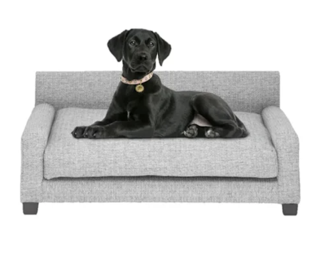 Club Nine Pets Metal Metro Dog Bed