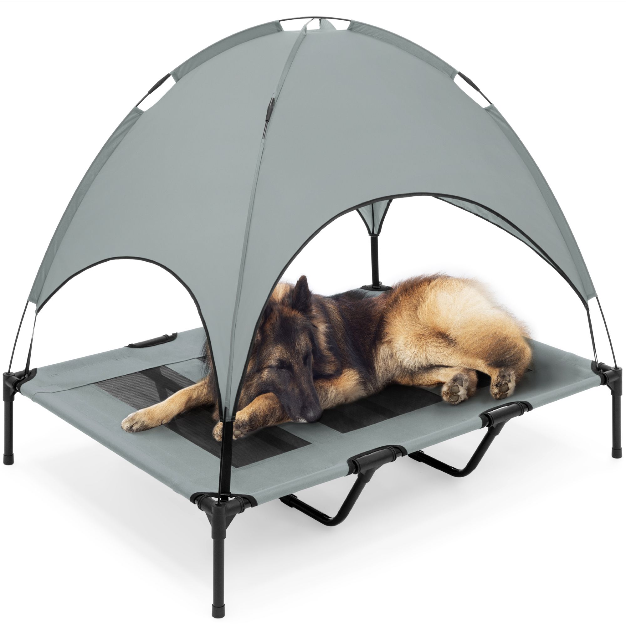 Outdoor Elevated Cooling Dog Bed