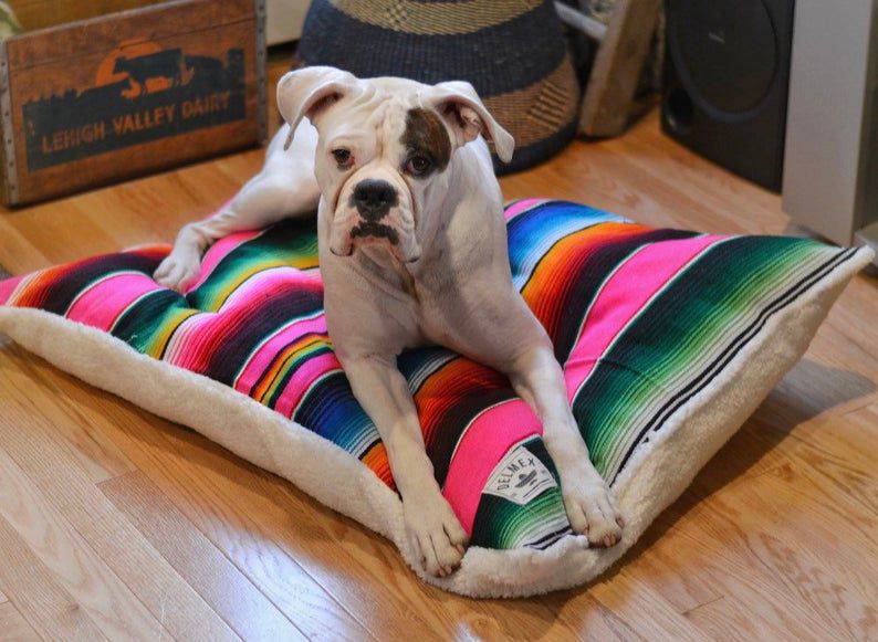 Mexican Serape Blanket Dog Bed