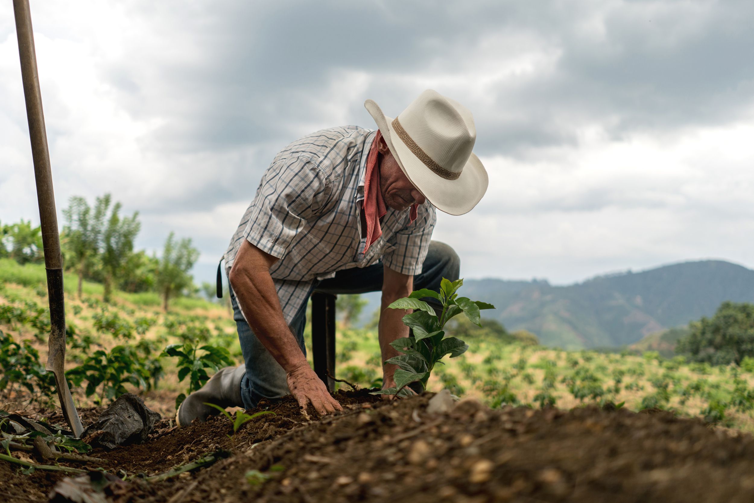 man sowing the land at a farm