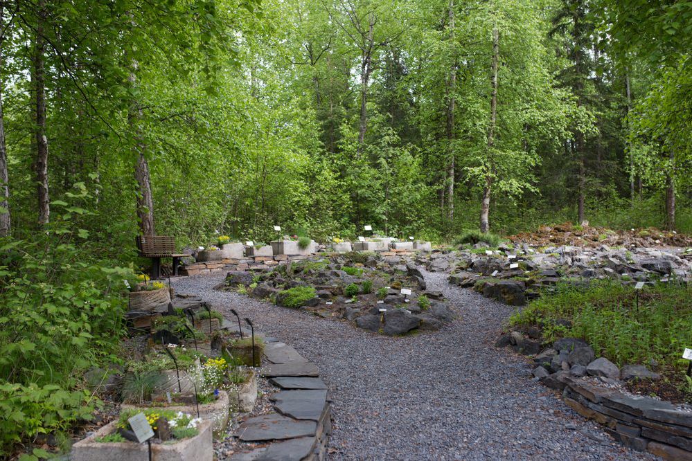 Alaska Botanical Garden, Anchorage, Alaska