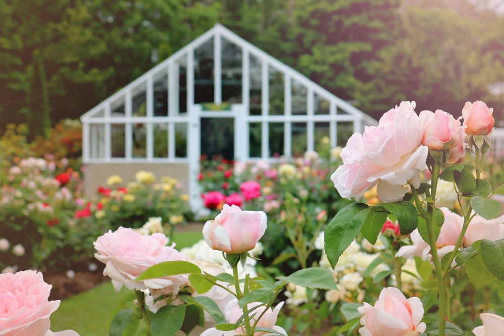 Fuller Gardens, North Hampton, New Hampshire