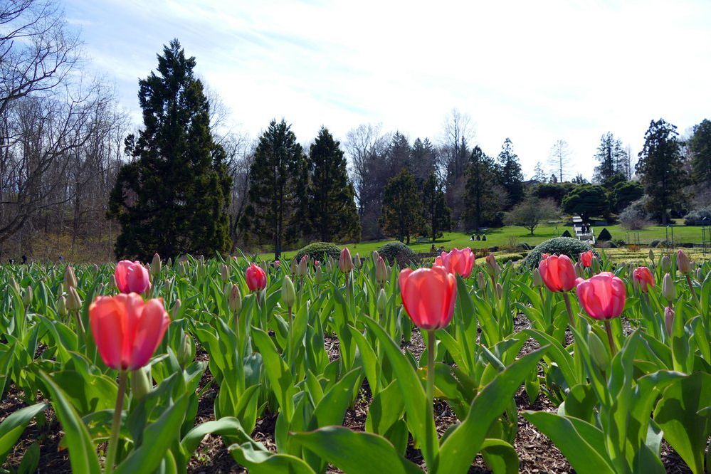 Deep Cut Gardens, Middletown, New Jersey