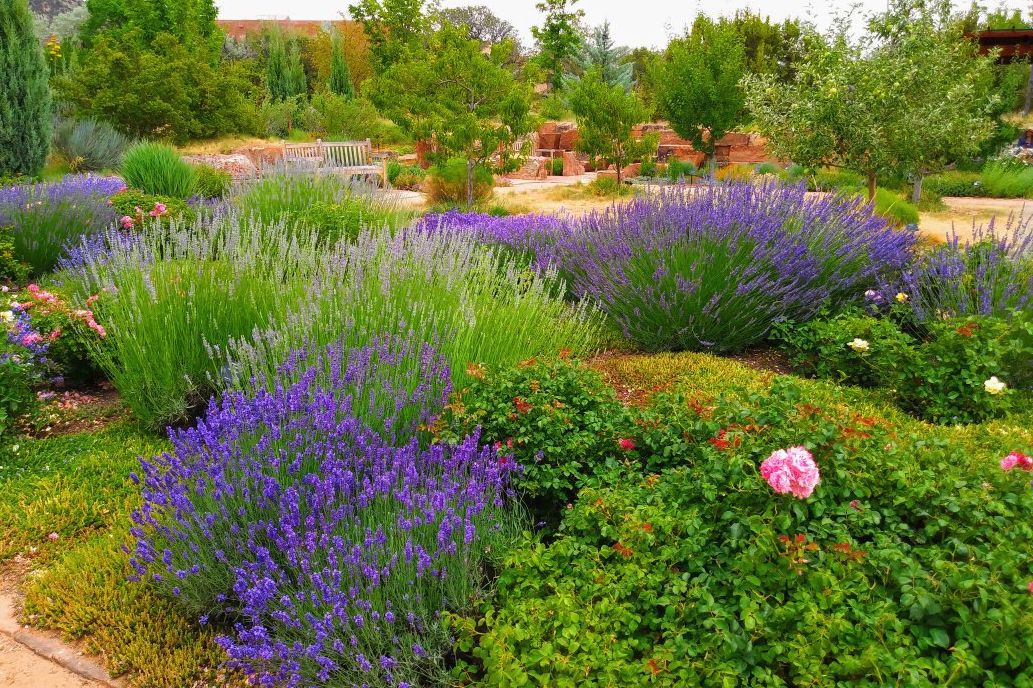 Santa Fe Botanical Garden, Santa Fe, New Mexico