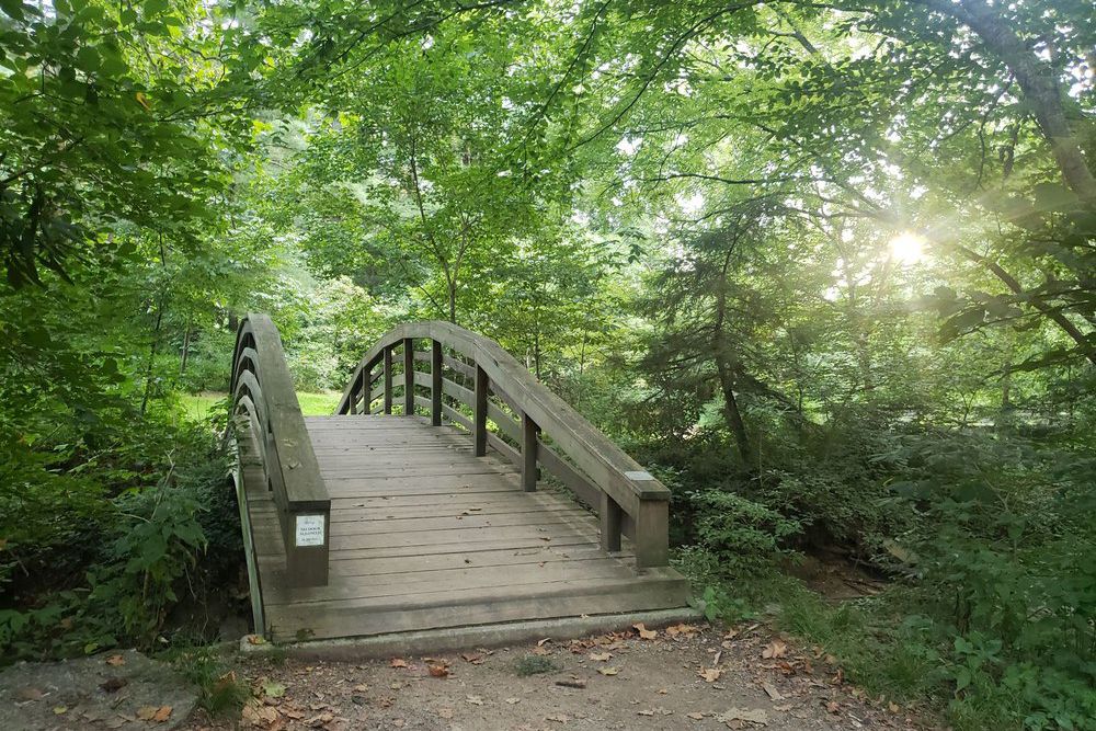 Botanical Gardens, Asheville, North Carolina